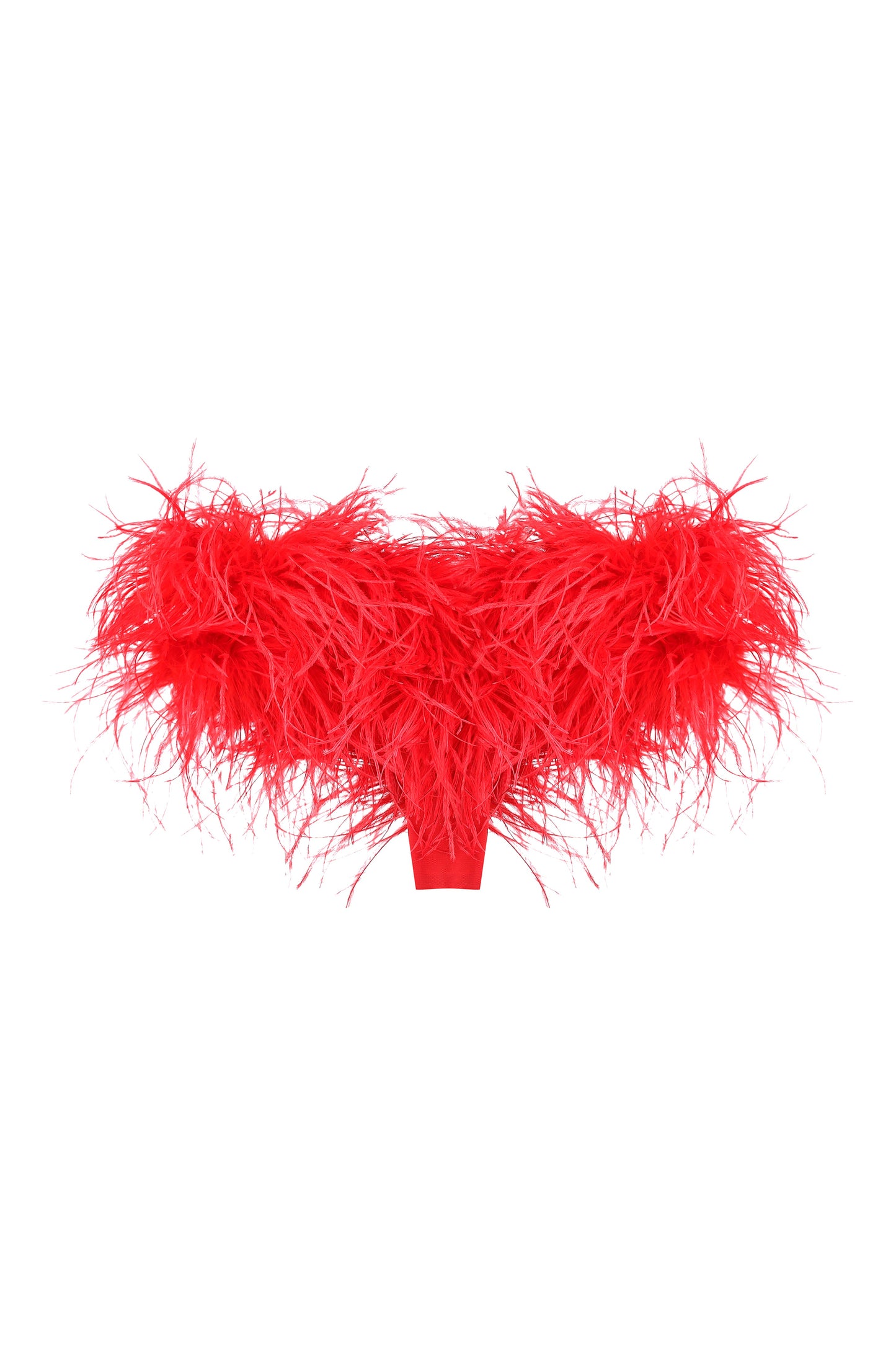 Feather panties