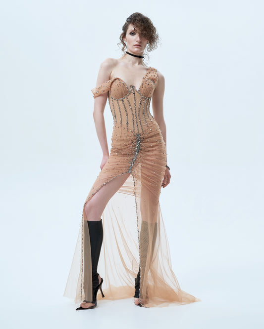 Embellished dress with transparent skirt