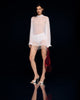 Transparent blouse